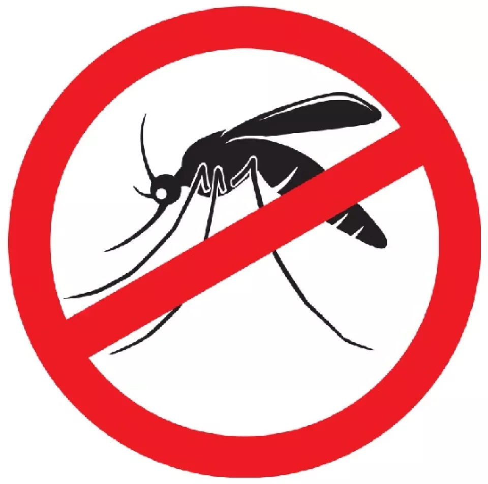 Tablety proti komárom pre obyvateľov zdarma