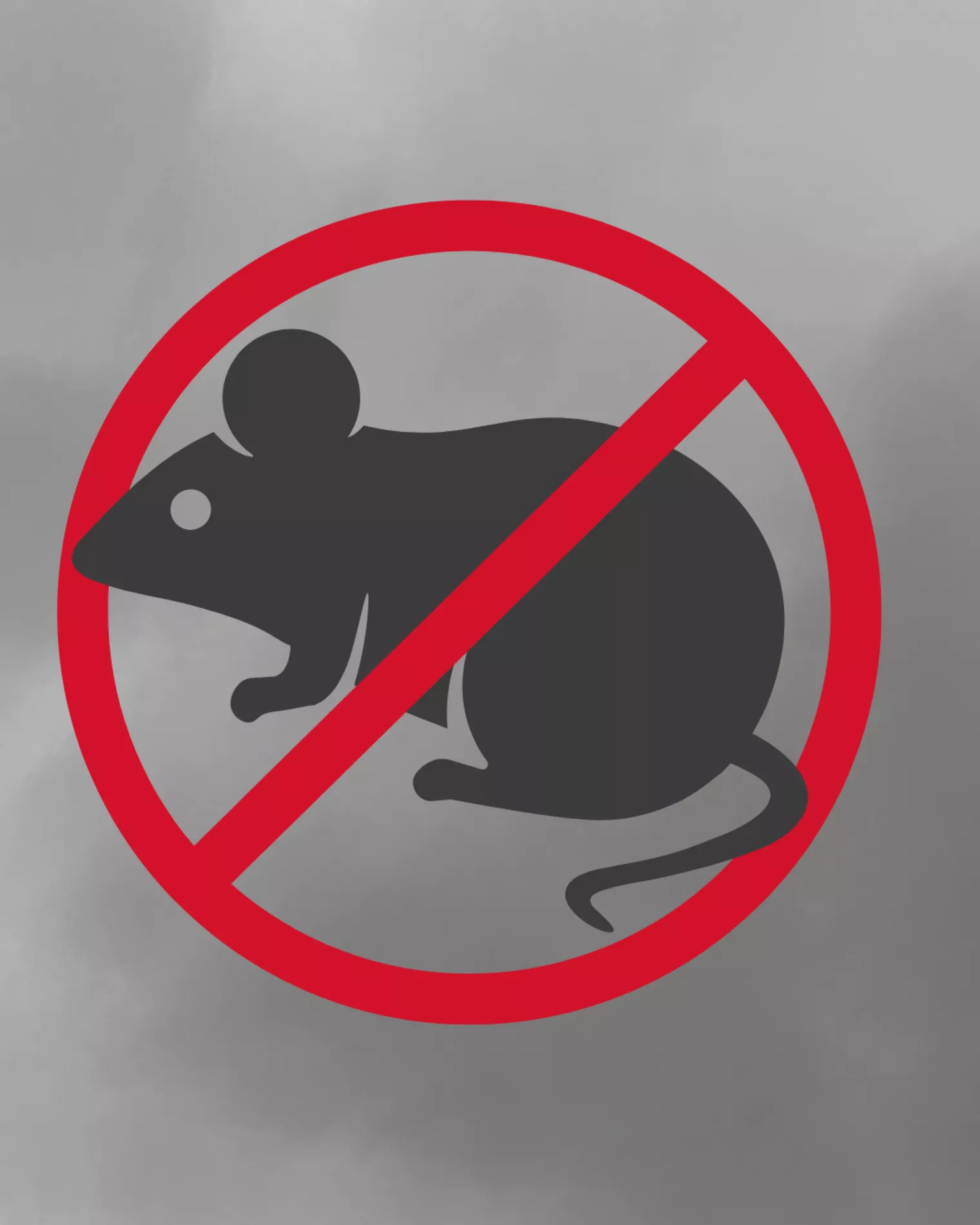 Výzva na výkon jesennej preventívnej celoplošnej deratizácie