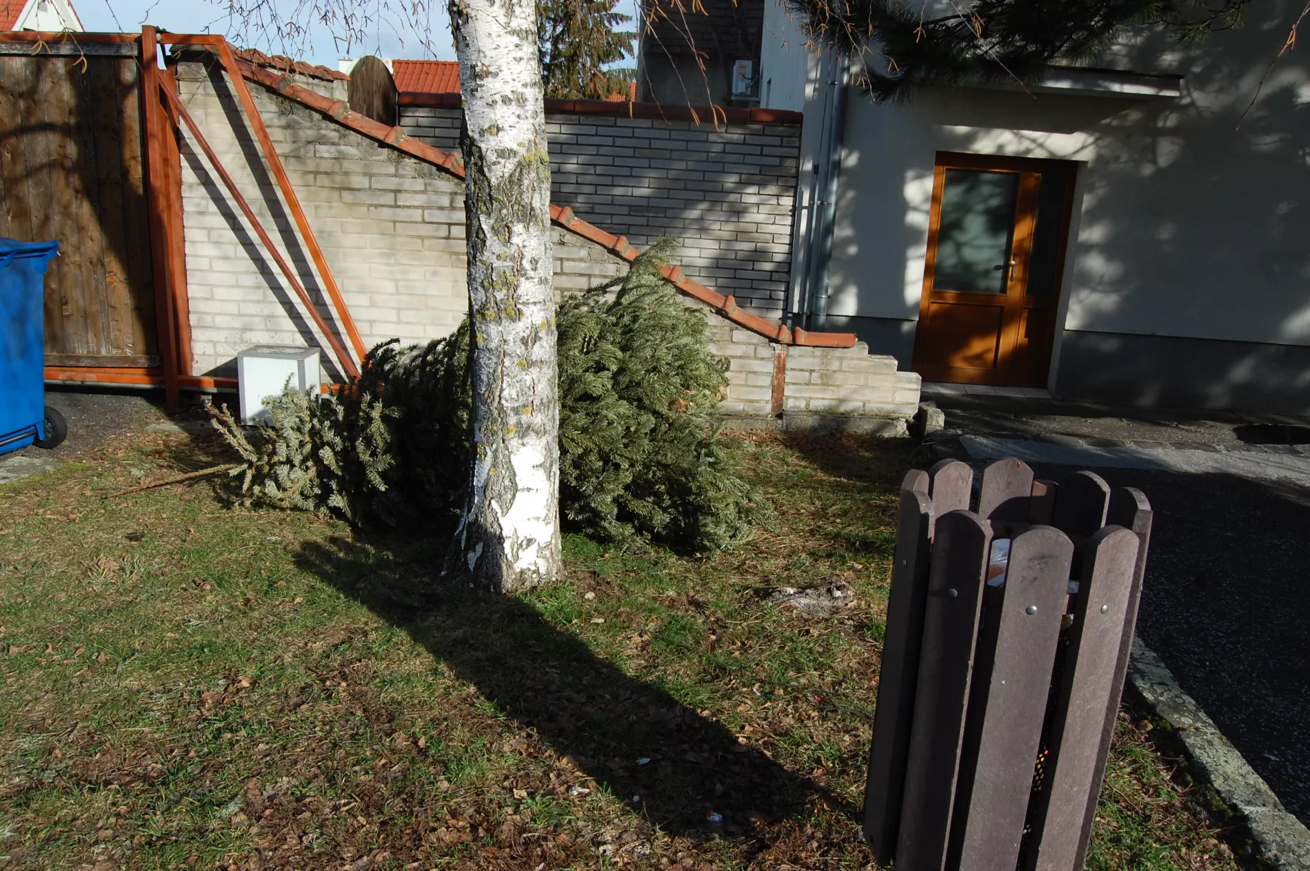 Zber a odvoz vianočných stromčekov