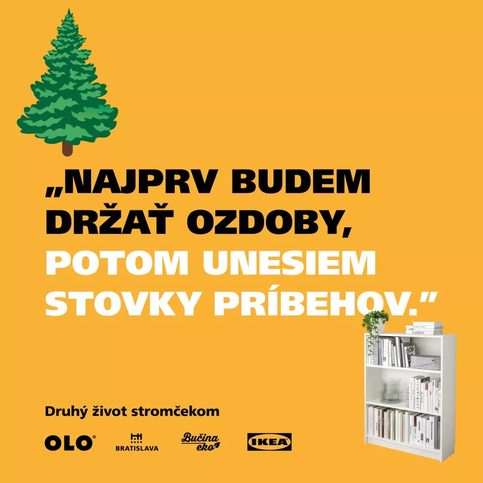 Bratislava začína s osádzaním ohrádok na zber živých vianočných stromčekov