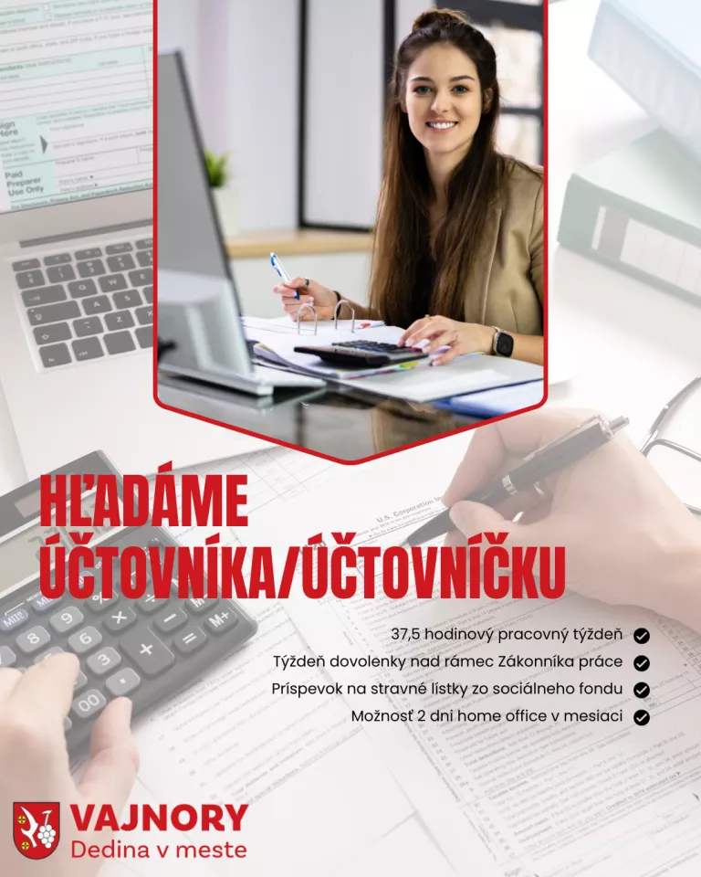HĽADÁME ÚČTOVNÍKA/ÚČTOVNÍČKU