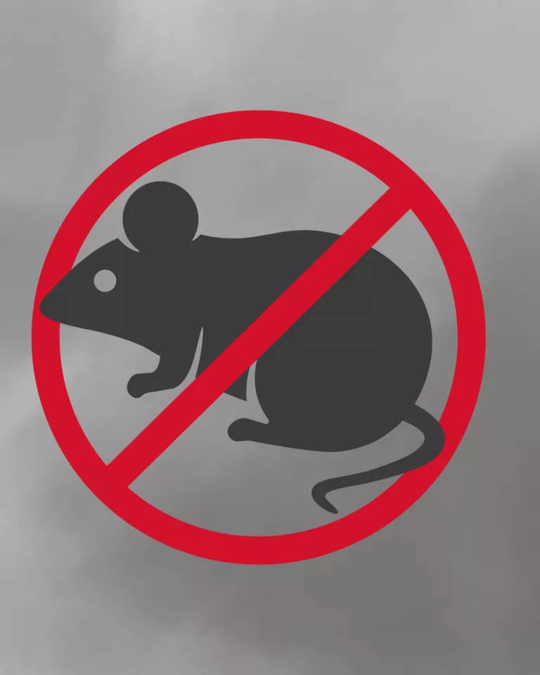 Výzva na výkon jesennej preventívnej celoplošnej deratizácie