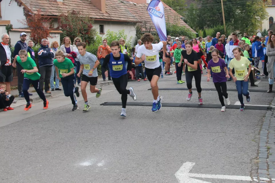Minimaratón 2016